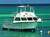Diving on Little Cayman